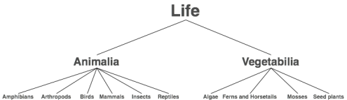 Simple tree of life